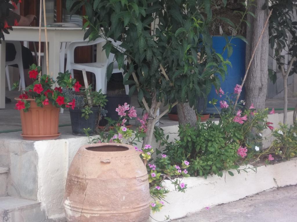 Knossos Hotel Kalamaki  Exterior photo